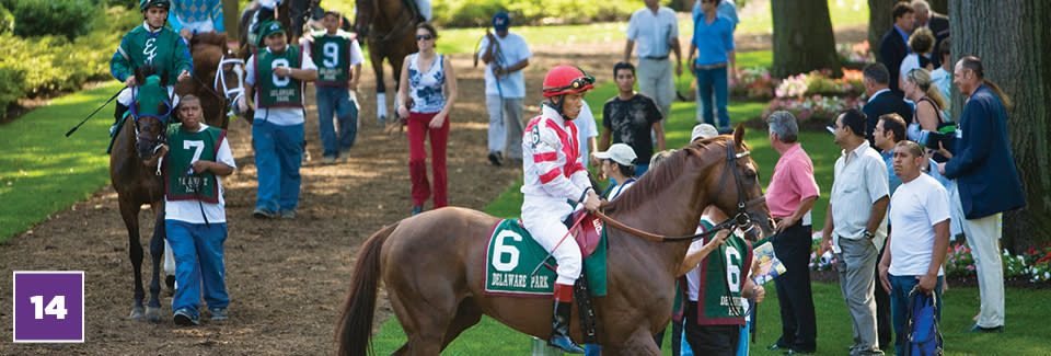 20 for 20 #14 Delaware Park - Jockey On Horse