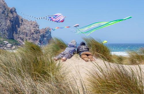 Dunes Kite Fest