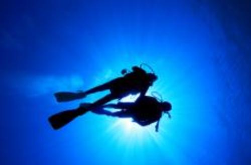 Diving