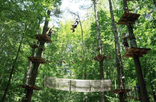 A visitor soars through the tree tops at Adventure Park located at the Virginia Aquarium in Virginia Beach.