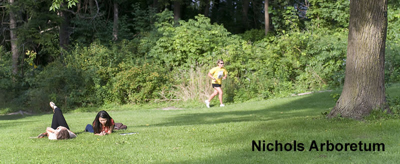 Nichols Arboretum