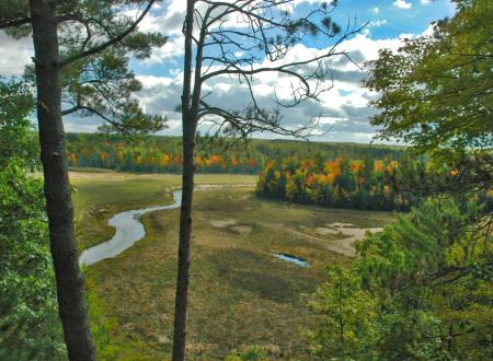 A view of the Boardman River from an Overlook at Brown Bridge