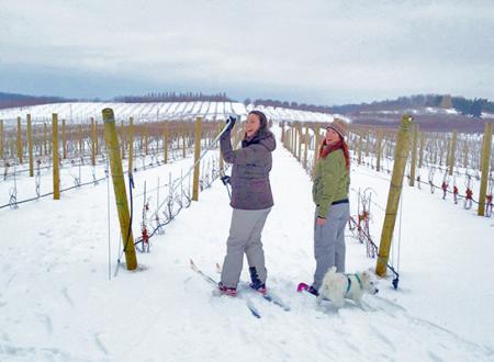 Tour Or Ski The Winter Wineries Of Leelanau