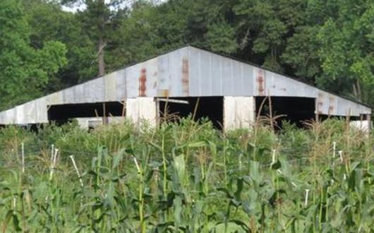 Ridemore Ranch And Berry Farm Covington La 70435