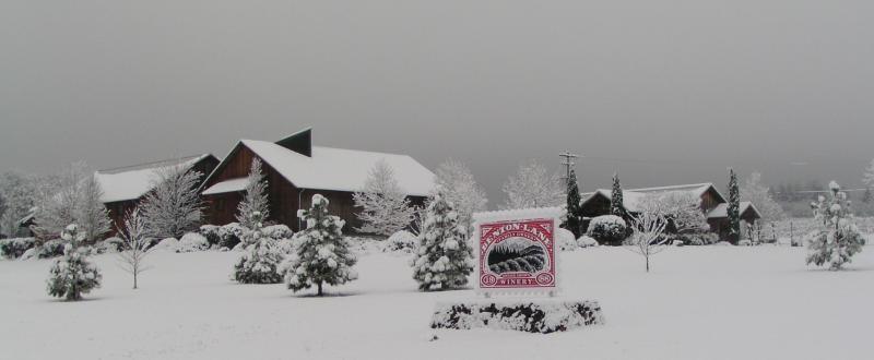 Top Things To Do This Winter Eugene Cascades Oregon Coast