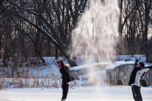 Winter In Rochester Mn Winter Things to Do in Rochester, Minnesota