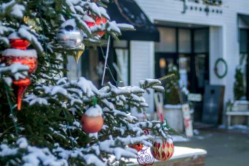 Cape Cod Christmas 2021 Cape Cod Christmas Holiday Events Attractions On Cape Cod