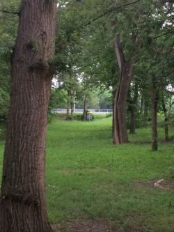 Elmwood Park Norton