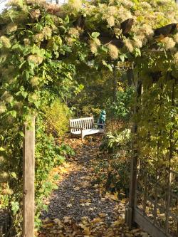 Old Art Building Garden