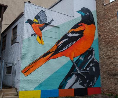 Mural - Brett Whitacre