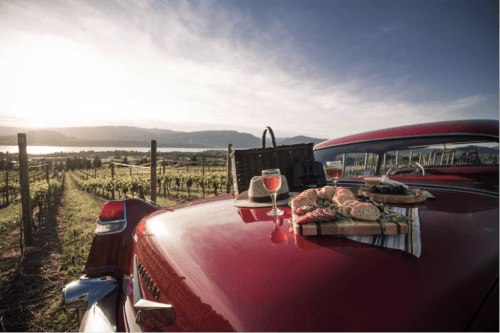 Vintage Wine Tours