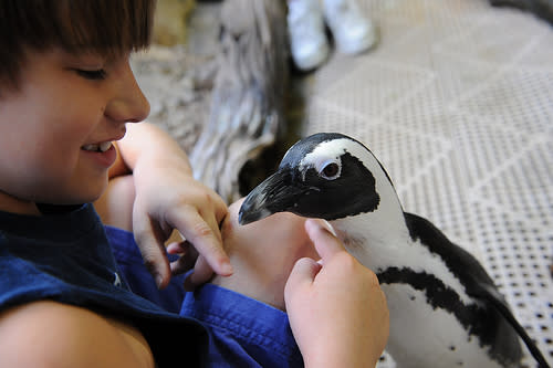 Audubon Aquarium