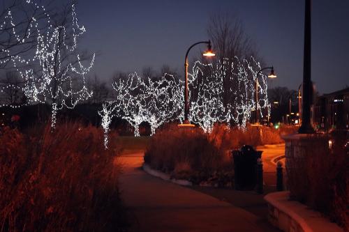 Phoenix Park Lights Christmas