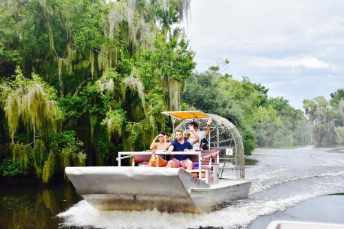Take an Airboat Swamp Tour in Lafitte
