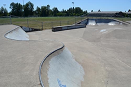 Cal Young Skatepark