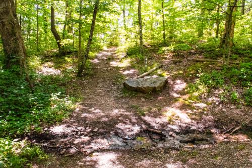 Mountains-To-Sea Trail at Bull Gap/Ox Creek Road