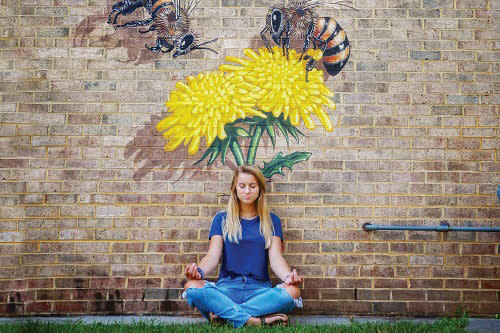 Bee Mural Carrboro-Chapel Hill Mural Tour
