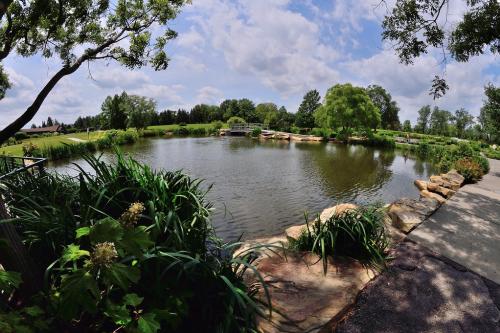 cox arboretum