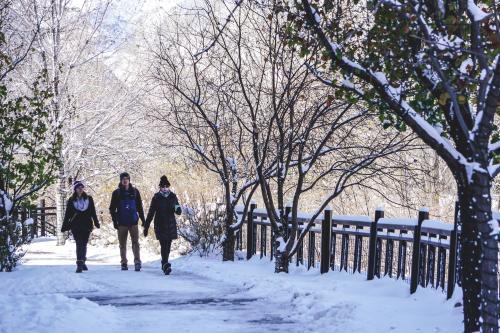 Winter walk along Clear Creek