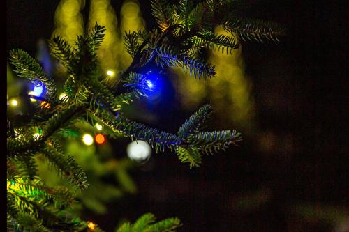Highlands Nc Events For November 2022