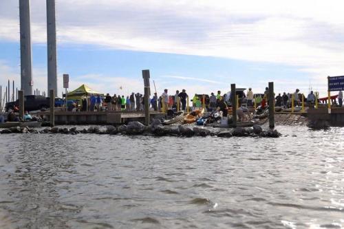 Paddle Palooza