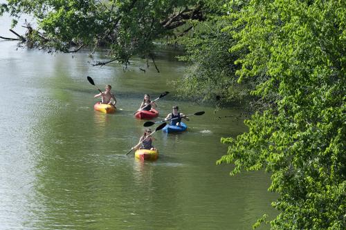 Kayaking on the Neuse River in Johnston County, NC