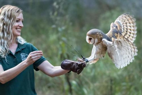 Carolina Raptor Center