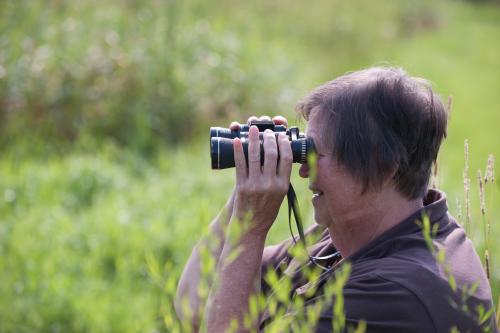 Great Swamp Conservancy Birding