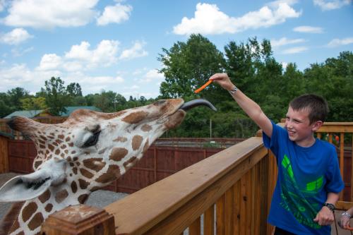 Lunch at  the Wild Animal Park