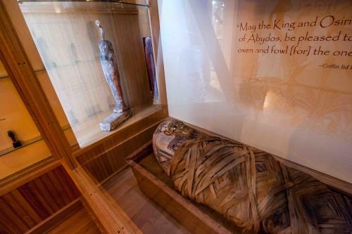 Mummy at the Museum at Cazenovia Public Library