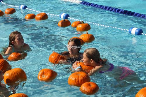 Floating Pumpkin Patch