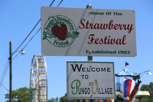 Pungo Village Strawberry Festival Sign In Virginia Beach