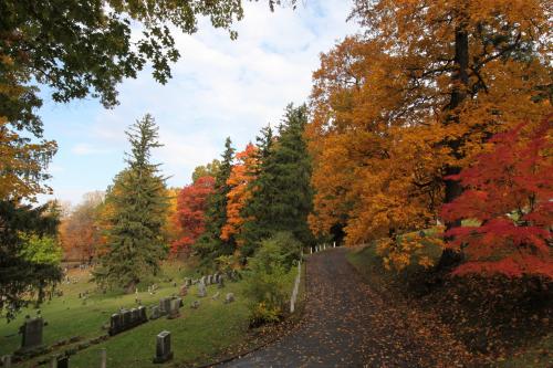 Fall foliage in Mount Hope Cemetery in Rochester, NY
