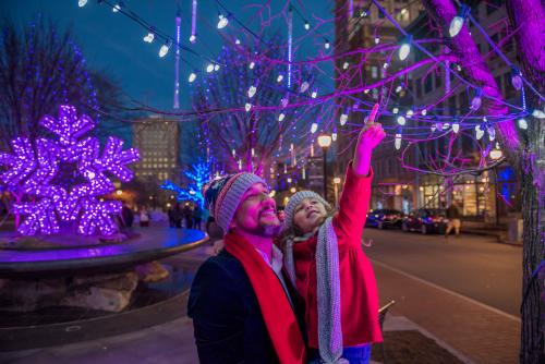 North Carolina Arboretum S Winter Lights Tickets Details