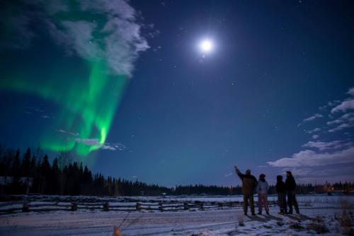 Aurora Viewing and Photography