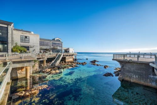 Monterey Bay Aquarium Tide Pool