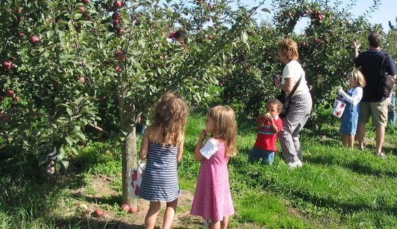 Lagoner Farms Williamson Ny 145