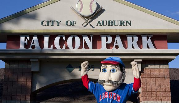 Auburn Doubledays 2022 Schedule Auburn Doubledays | Auburn, Ny 13021