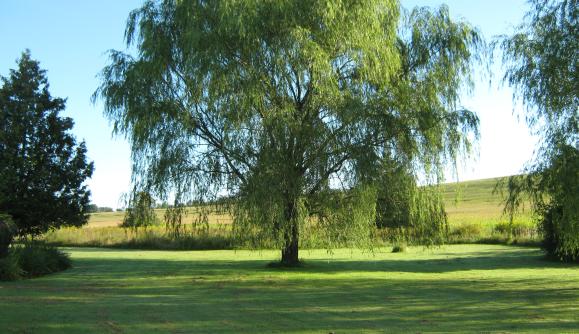 Sleepy Hollow Motel | Auburn, NY 13021