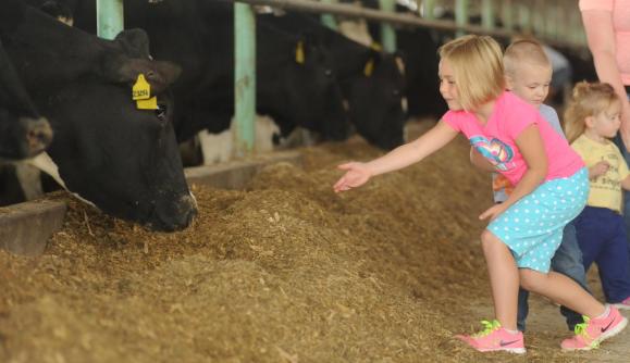 Lamb Farms, Inc. | Oakfield, NY 14125