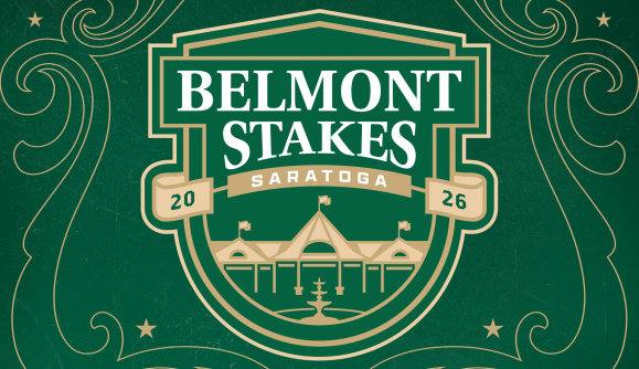 Stake Casino Interface Visualisierung