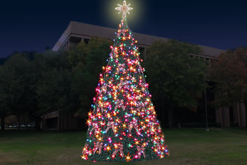 Christmas Tree at City Hall