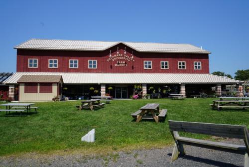 Makret at Del Val