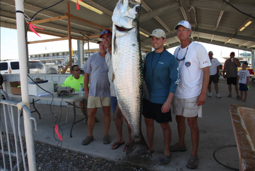 People Standing Next To A Large Fish At The Tarpon Rodeo