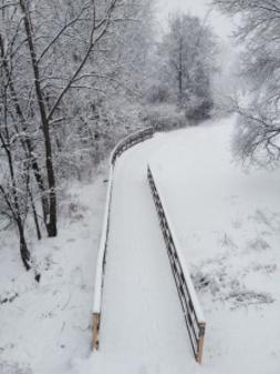 The River Greenway (photo taken by Mark Hanon)