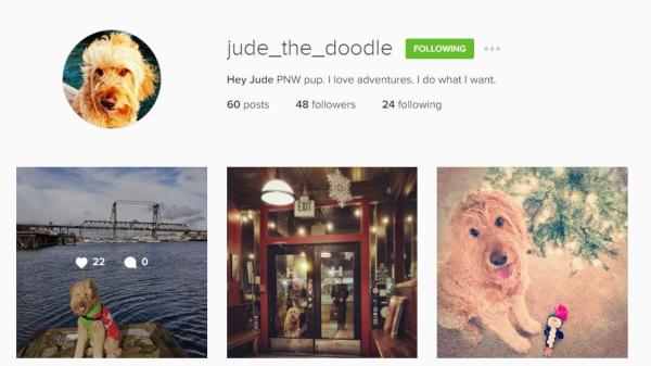 Jude Instagram account