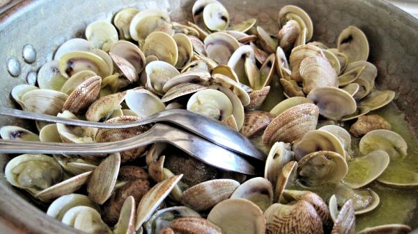 Clambake at Colloca Estate Vineyard