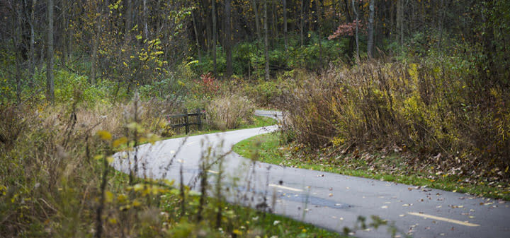 Border 2 Border Trail