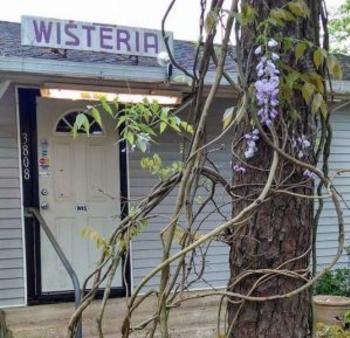 wiseria