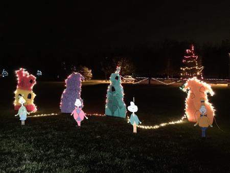 Top 10 Holiday Light Displays In Hendricks County Indiana